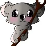 About Koala Tea Writes